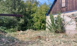 На улице Строителей в Знаменске покосили траву после обращения в интернете