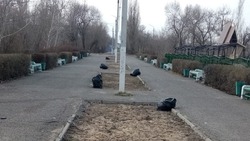 В Знаменске неизвестные перевернули все мусорки в парке