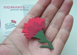 В Знаменске состоится патриотическая акция «Красная гвоздика»