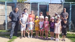 Знаменцы продолжают принимать участие в проекте о профессиях 