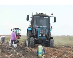 В Астраханской области начался сбор раннего картофеля
