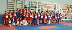 В Знаменске прошел турнир по самбо 