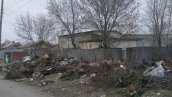 Знаменцам вновь напомнили правила выброса крупногабаритного мусора