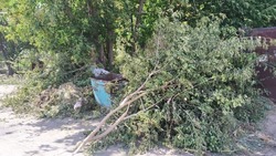 Знаменцев призвали не создавать несанкционированных свалок