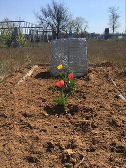 В Знаменске пройдёт акция «Тюльпан — цветок полигона»