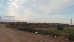 В районе полигона ТКО Знаменска ликвидировали возгорание