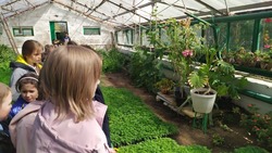 Школьники посетили зеленое хозяйство Знаменска