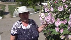 Жительница Знаменска рассказала о своем благоустроенном дворе