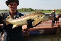 Пять районов Астраханской области отмечают 100 лет со дня основания 