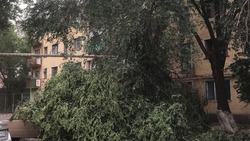 Коммунальные службы Знаменска ликвидируют последствия ураганного ветра