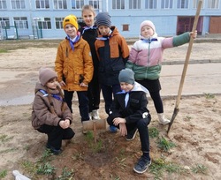 Школьники Знаменска высадили у школы деревья