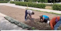 Коммунальщики Знаменска приступили к весенней высадке цветов