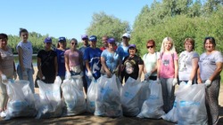 Волонтеры Знаменска очистили берег Ахтубы