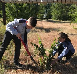 В Знаменске заложили «Сад Памяти»