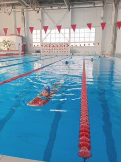 Знаменцы успешно завершили программу «Я умею плавать» 