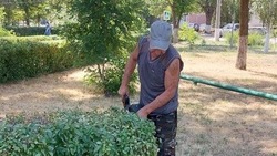 Коммунальщики Знаменска рассказали о работе за неделю