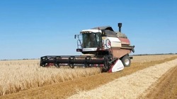 Игорь Бабушкин сообщил о новых рекордах астраханских аграриев