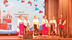 День народного единства в Знаменске отметили торжественным концертом