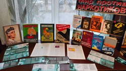 Городская библиотека Знаменска провела встречи для школьников