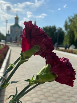 В Знаменске пройдут мероприятия, посвященные 80-летию победы в Сталинградской битве