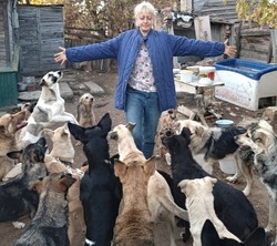 Руководитель знаменского общества защиты бездомных животных рассказала о своей работе