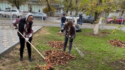 В ДШИ Знаменска прошел субботник 