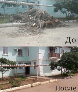 По поручению главы города в Знаменске убрали дворы от крупногабаритного мусора