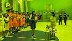 В Знаменске завершились школьные соревнования по баскетболу