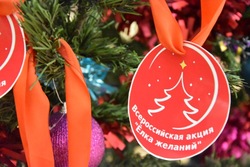 На полигоне Знаменска прошла «Елка желаний»