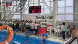 В Знаменске прошли соревнования «Веселый дельфин»